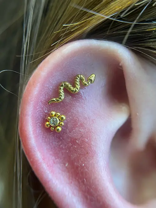 Piercing Bonanova Orejas
