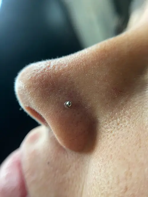 Piercing Bonanova nariz